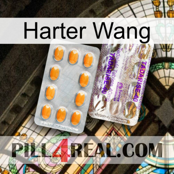 Hard Wang new12